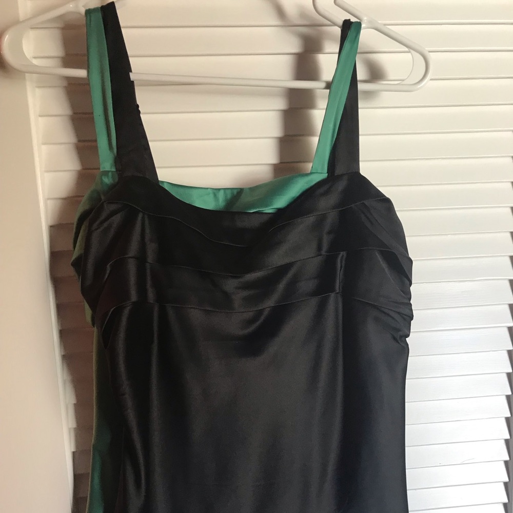 Lot of 2 The Limited satin tanks.